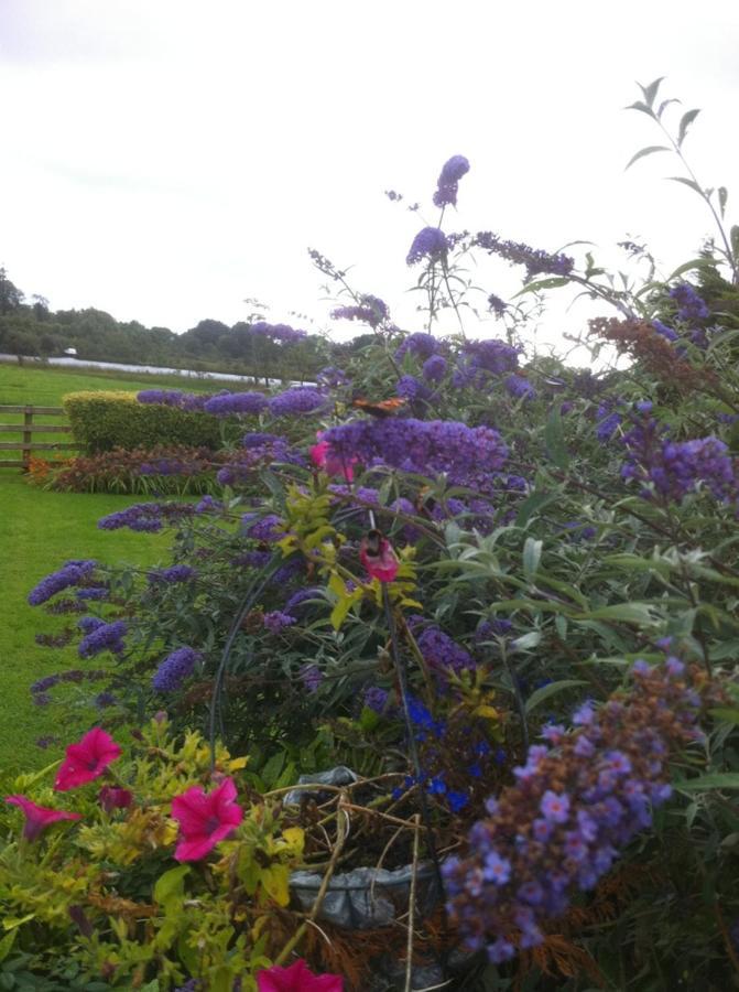 River Edge B&B Jamestown Bagian luar foto