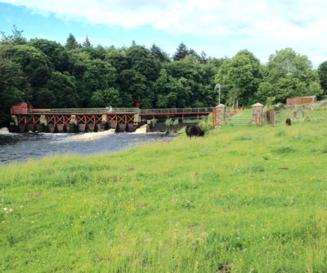 River Edge B&B Jamestown Bagian luar foto
